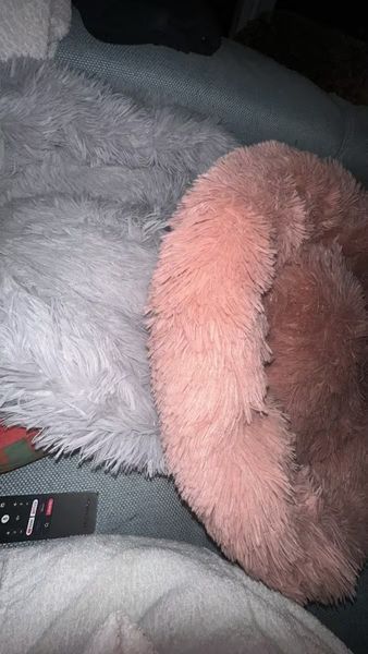 Пухнаста лежанка пончик для котів і малих собак м&rsquo;який круглий лежак для тварин 60 см рожевий (Plush-r) Plush-r фото