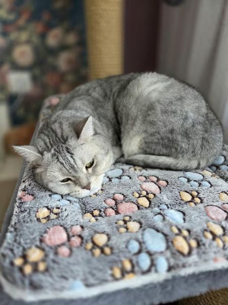 Килимок лежанка для котів і собак плюшевий м&rsquo;який теплий матрацик 60&times;40 см сірий з лапками (LAPKI-M) LAPKI-M фото
